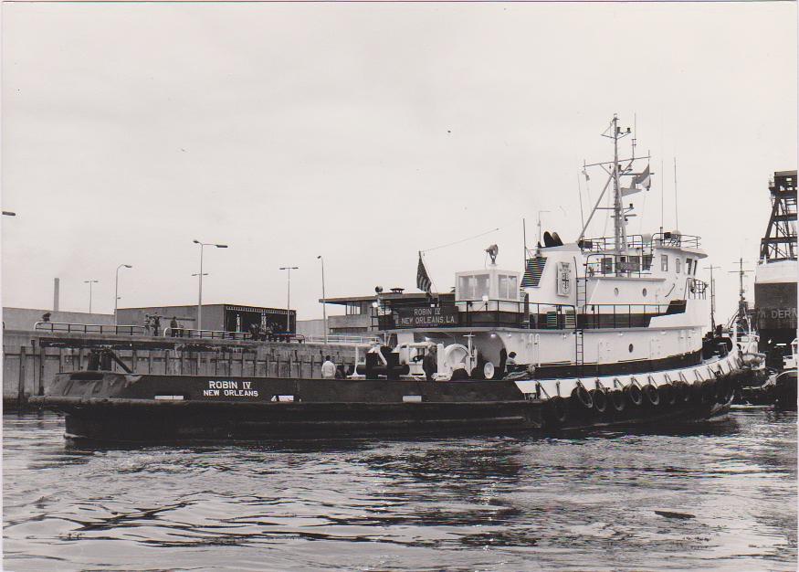 Robin IV