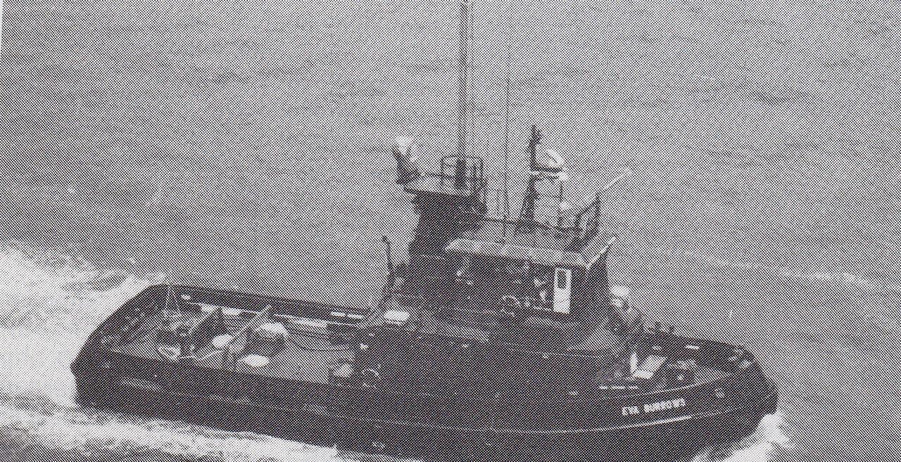 Wiabuna