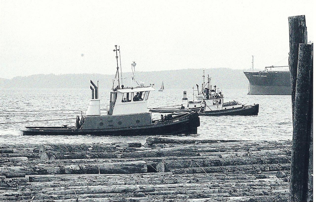 Camano