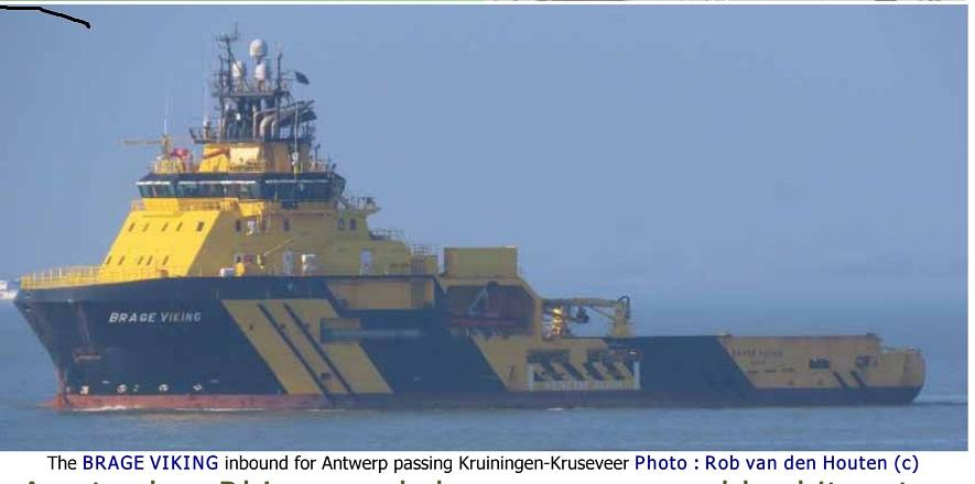 Brage Viking