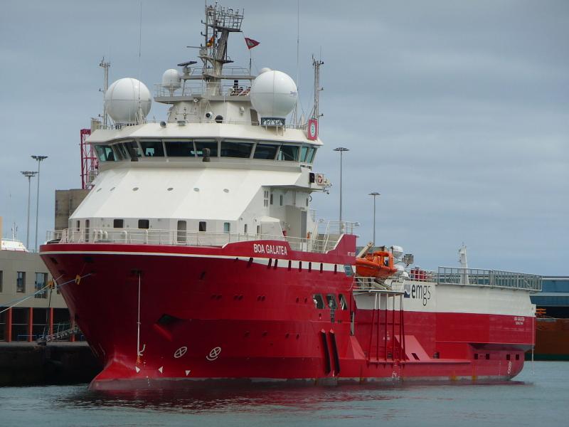 Boa Galatea