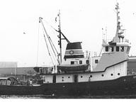 Orion