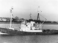 Koral
