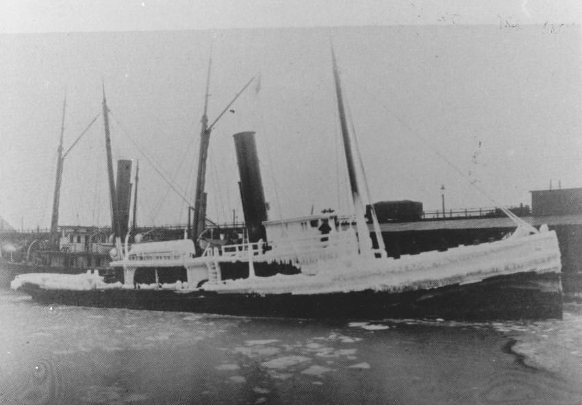 Vvd 18