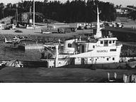 Nereus N