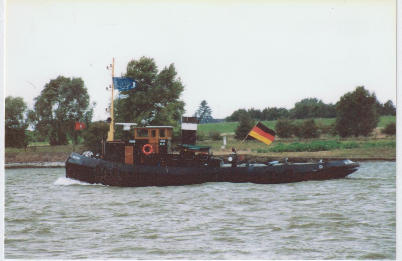 Alcyon