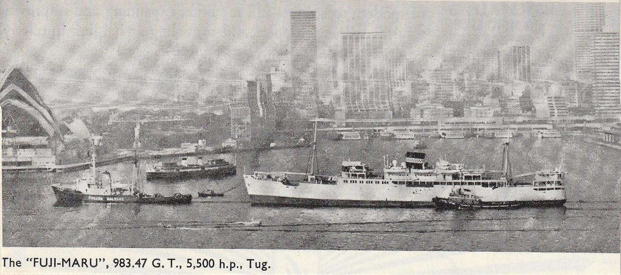 Son Hong Tuo 4001