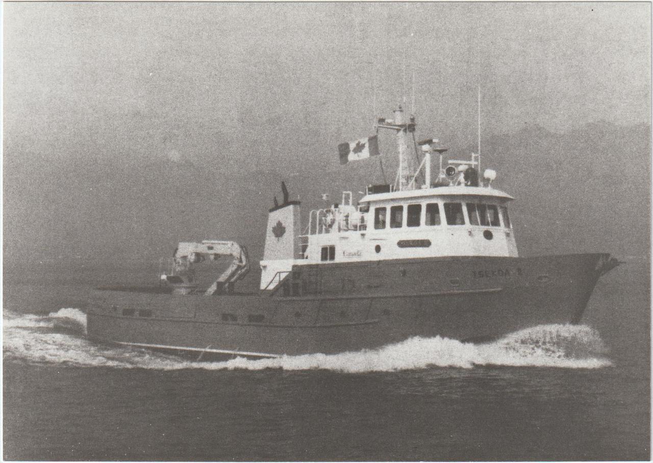Tsekoa II