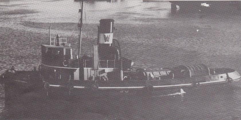 Cape Forestier