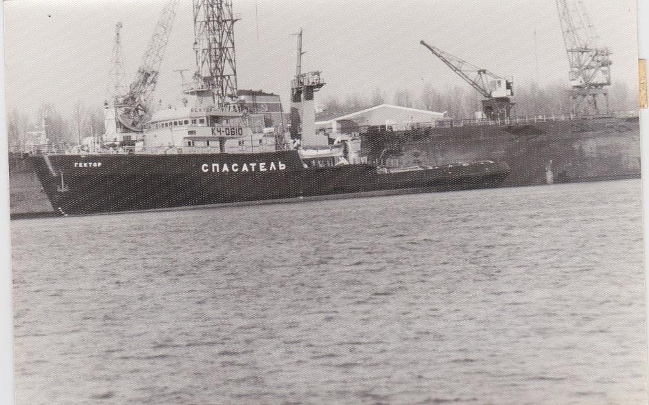 Gektor