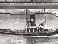 Kotvio II