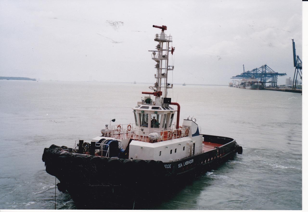 Sea Labrador