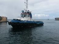 Manta