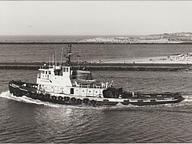 Rio Grande T