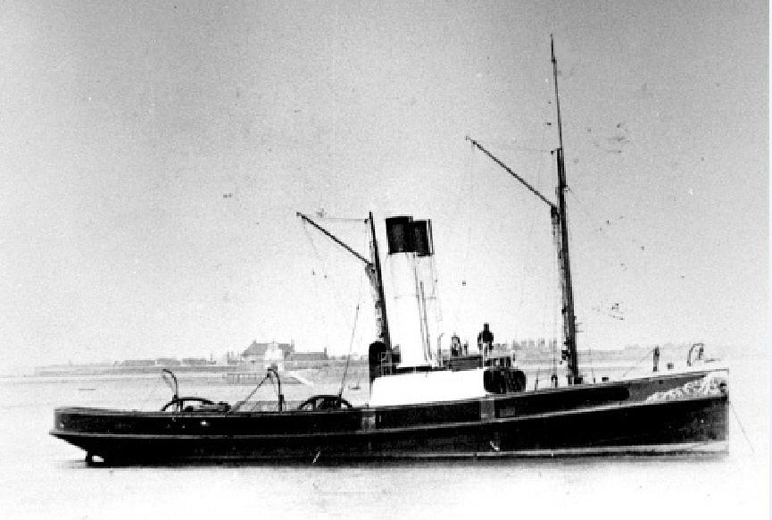Woodcock