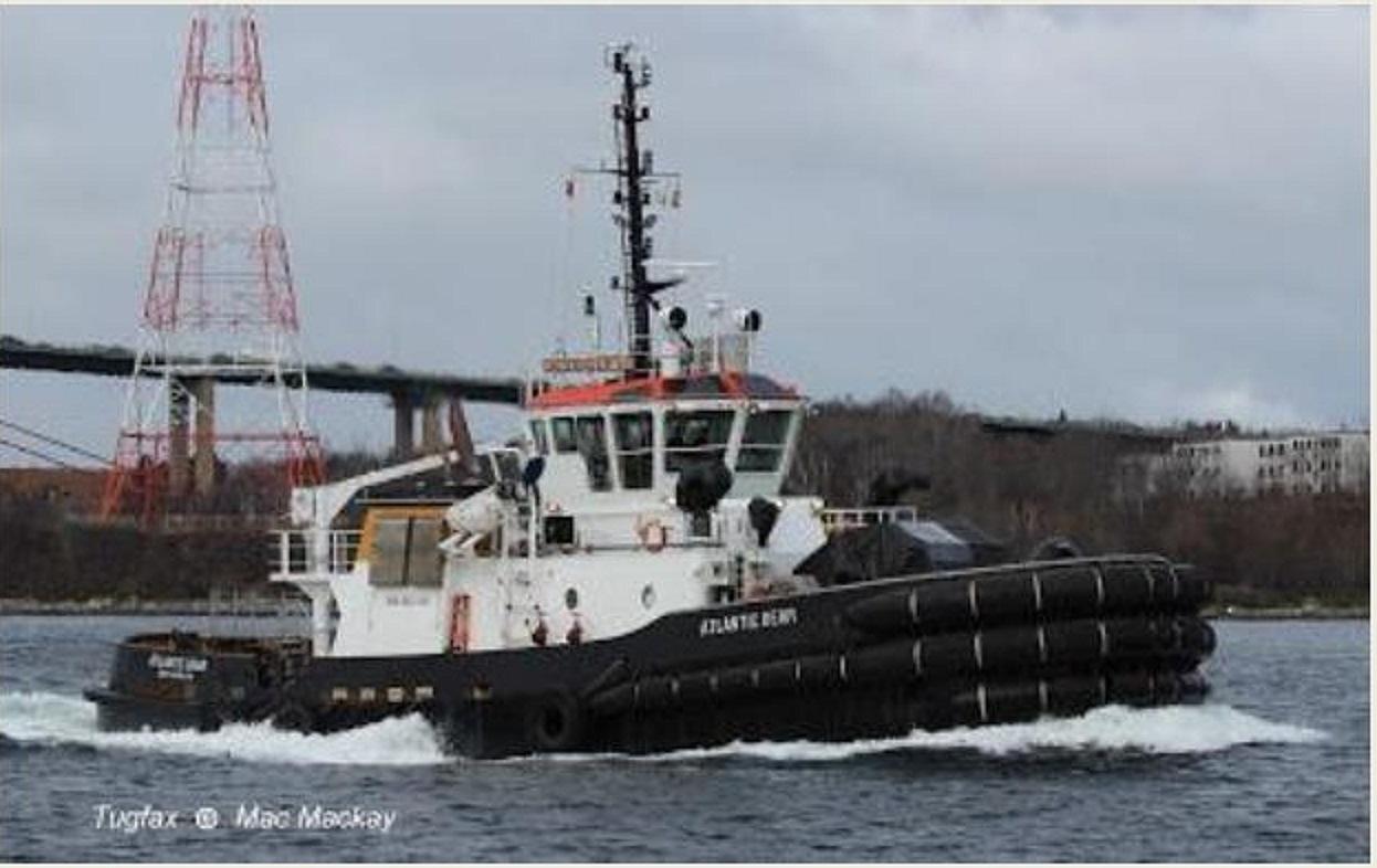 Atlantic Bear