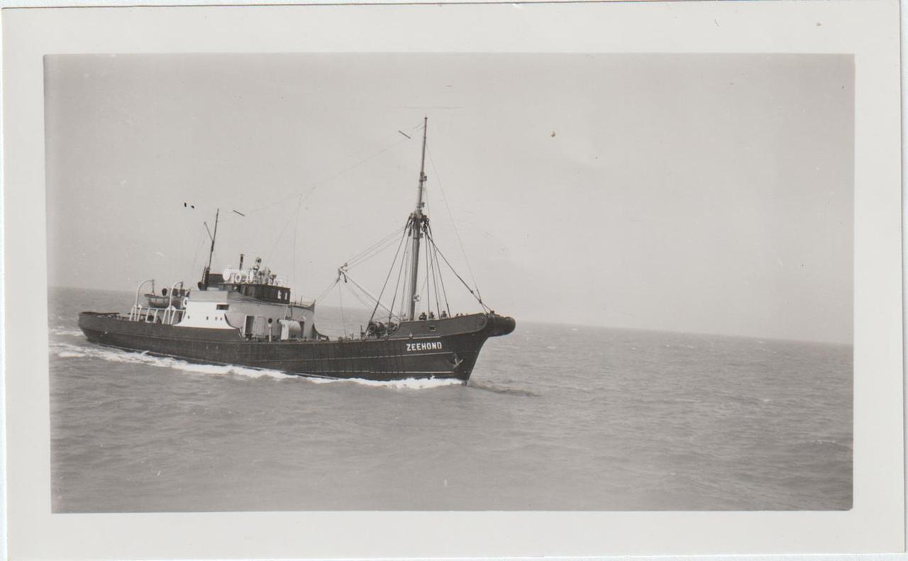 Zeehond (1)