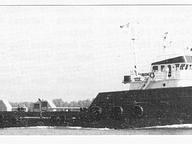 C.M. Service
