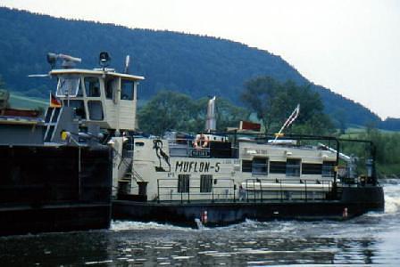 Muflon-5
