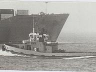 Zabeel 4