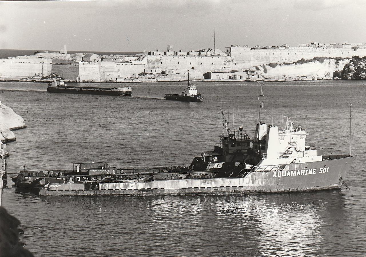 Sea Serve 501