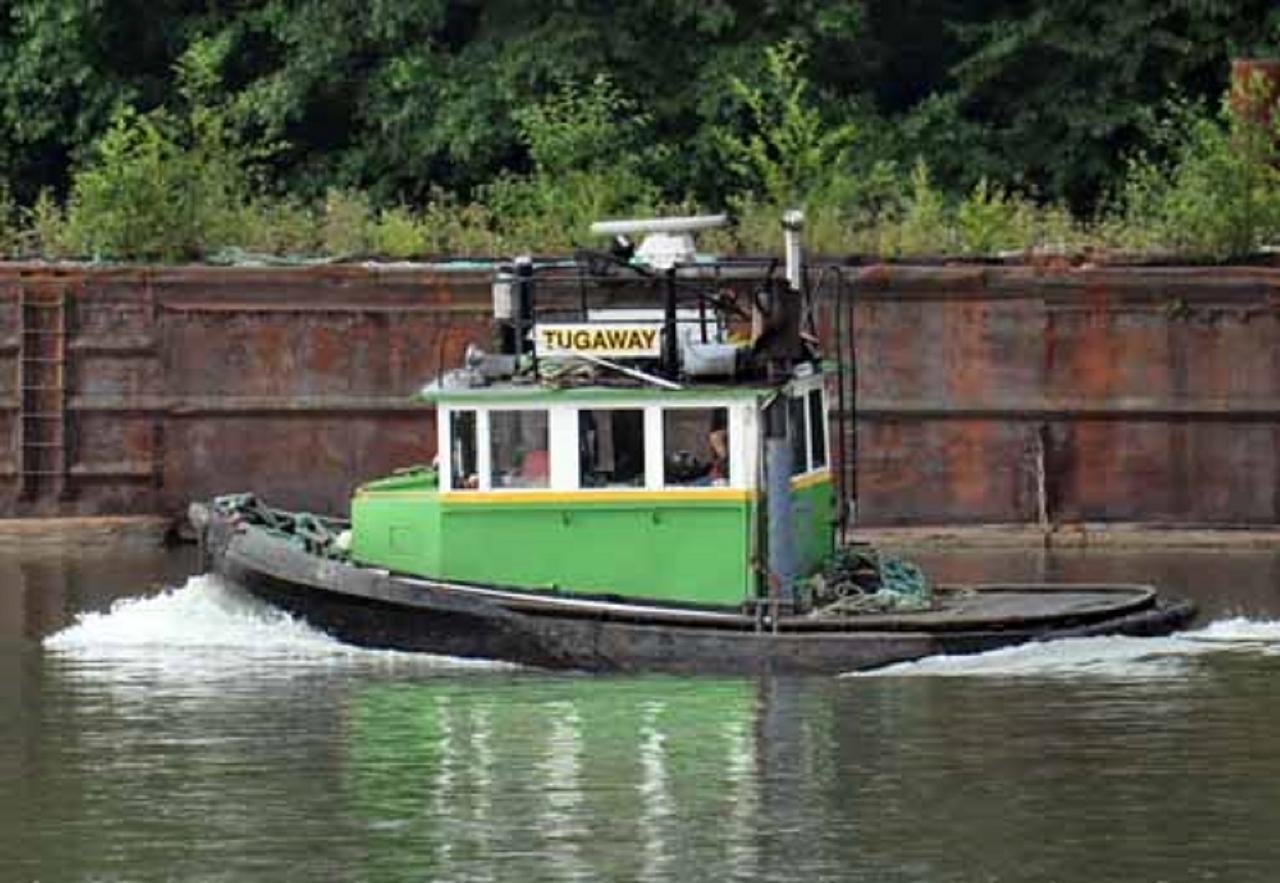 Tugaway (IV)