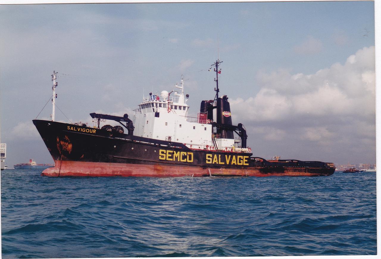 Salvigour