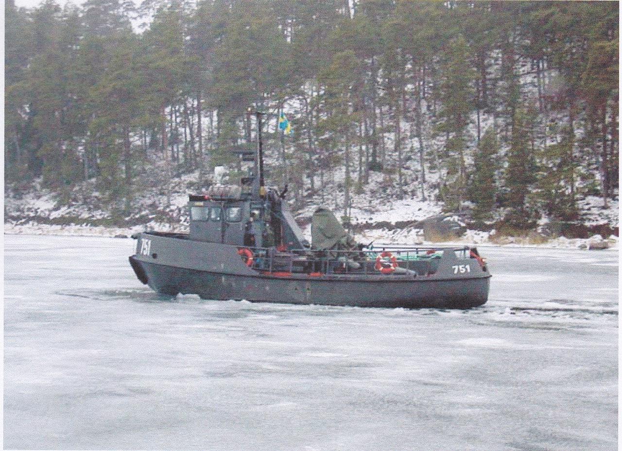 Viking (Hms 751)