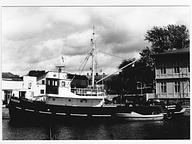 Lofjord