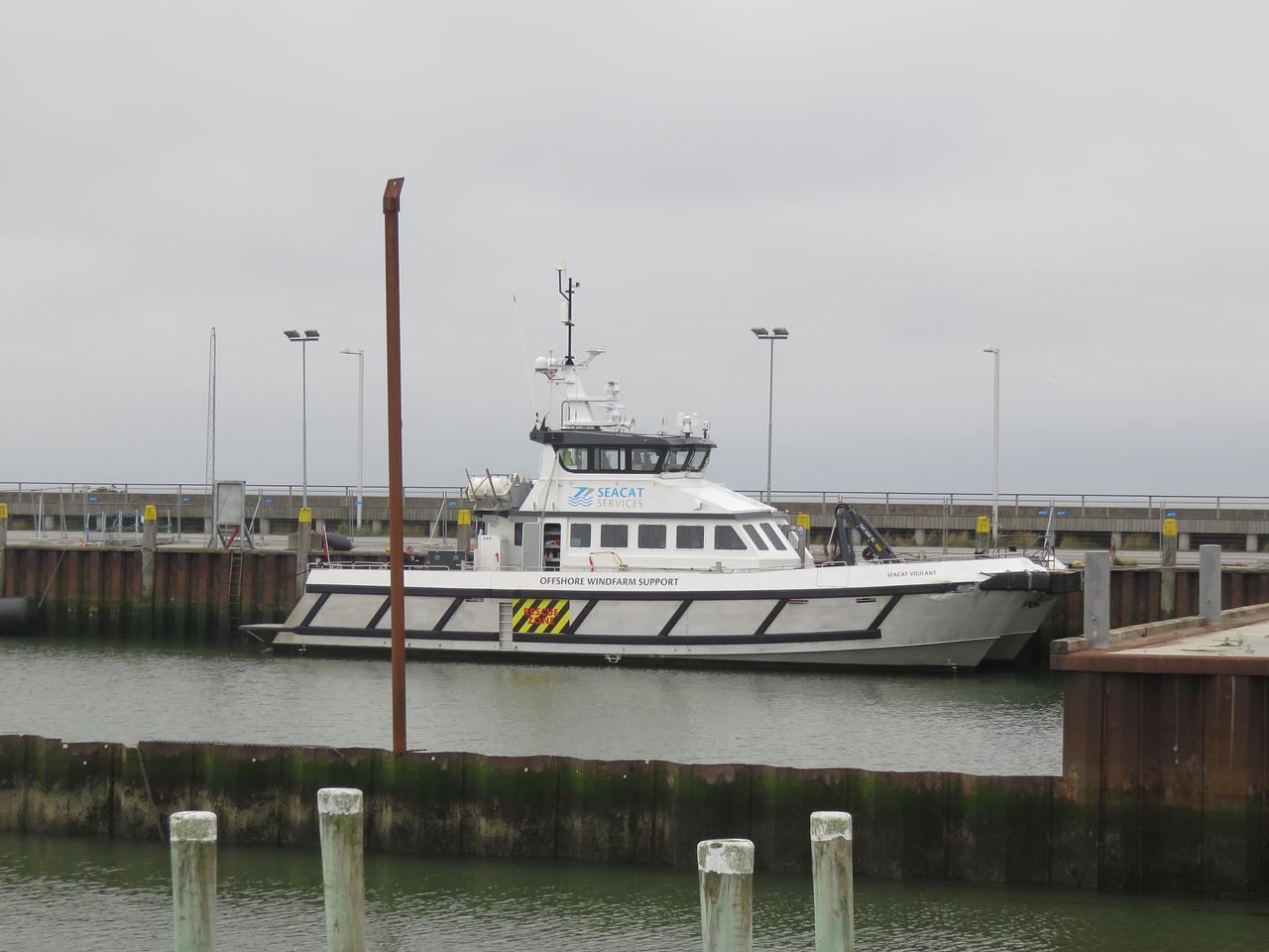 Seacat Vigilant