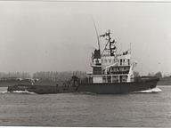 Gal Amber Sea