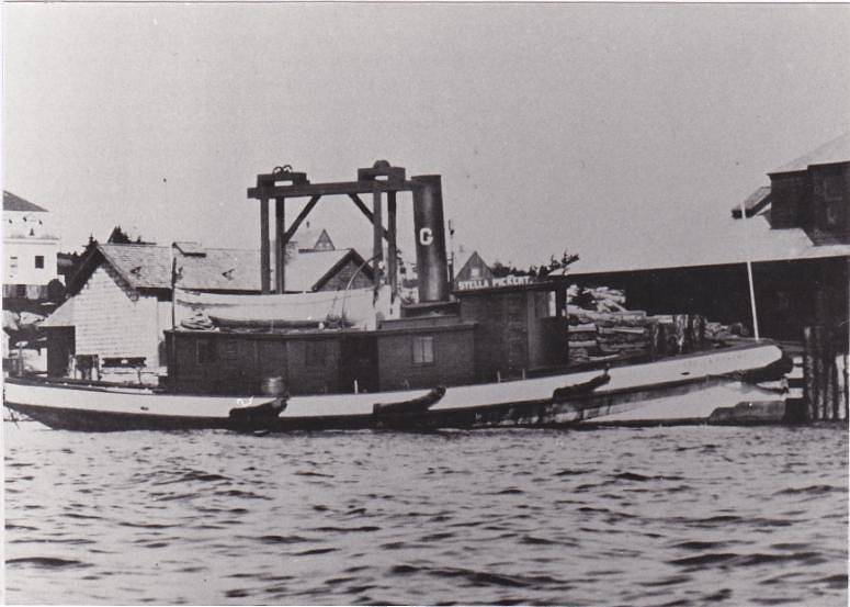 Stella Pickert
