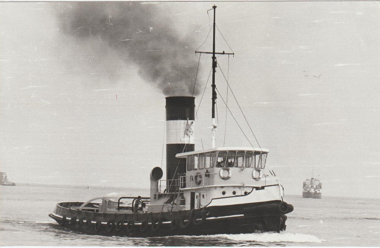 Alfredo Neri