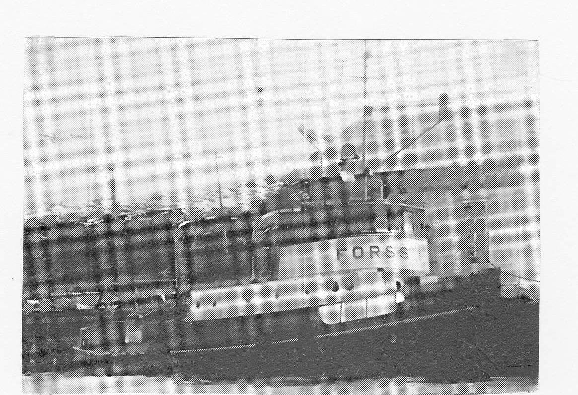 Forss I