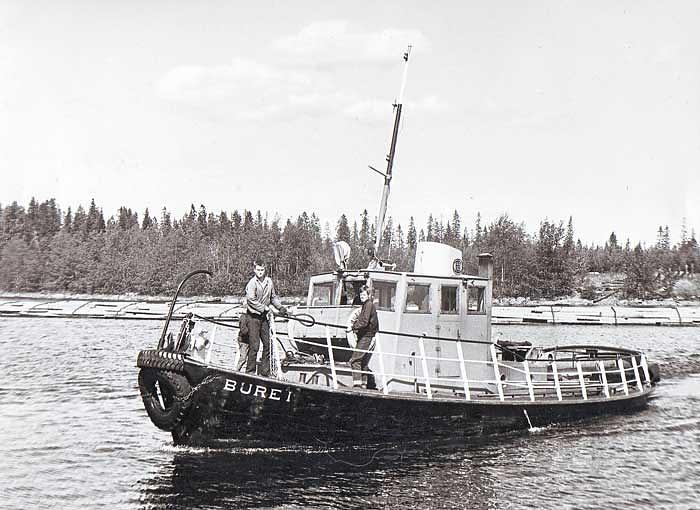 Brutus