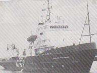 Mystic Viking