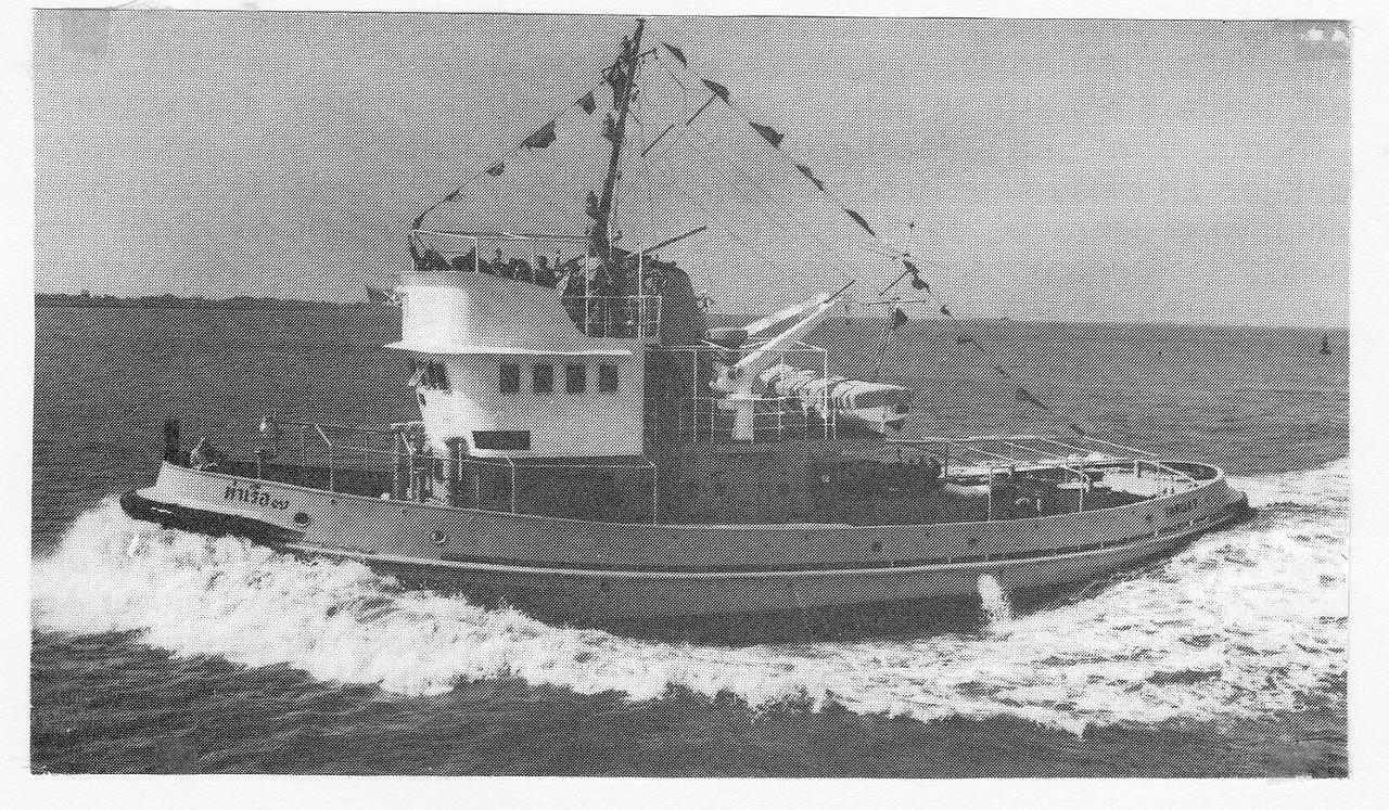 Tarua VI