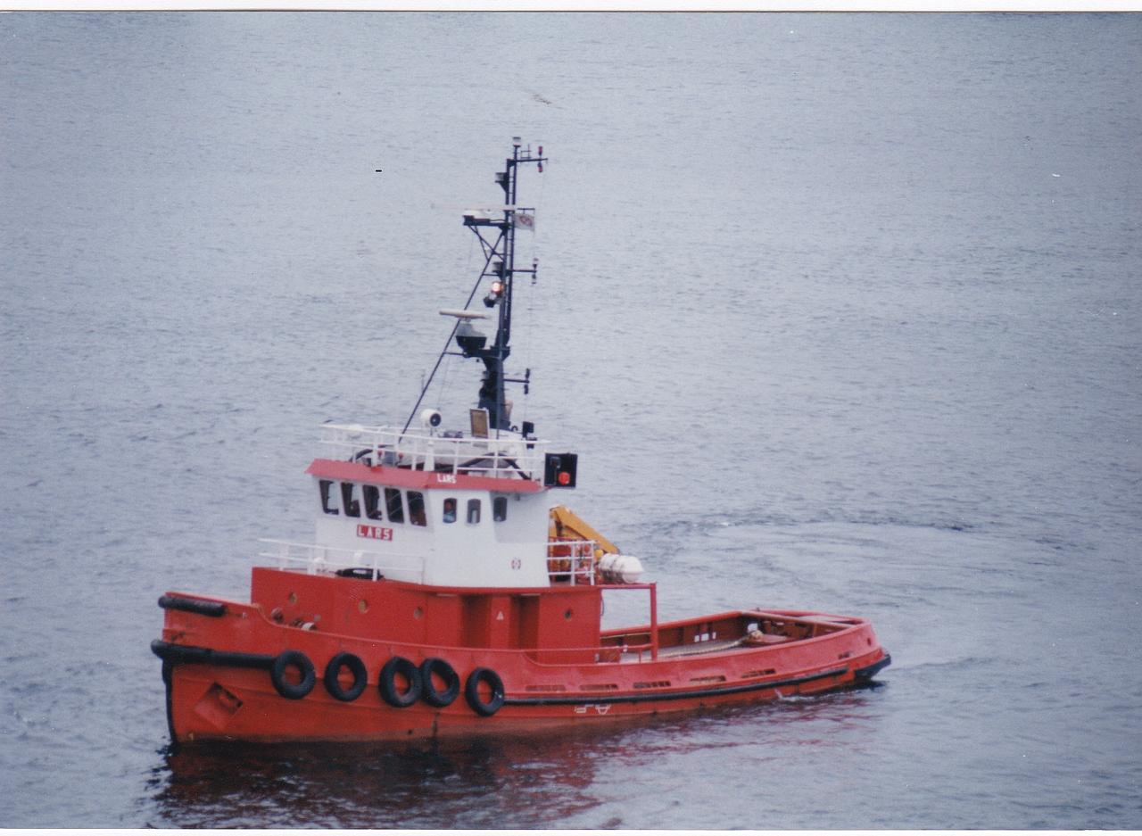 Borg Viking