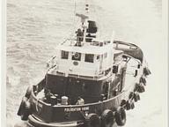 Point Viking
