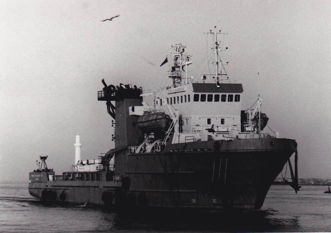 Buccaneer