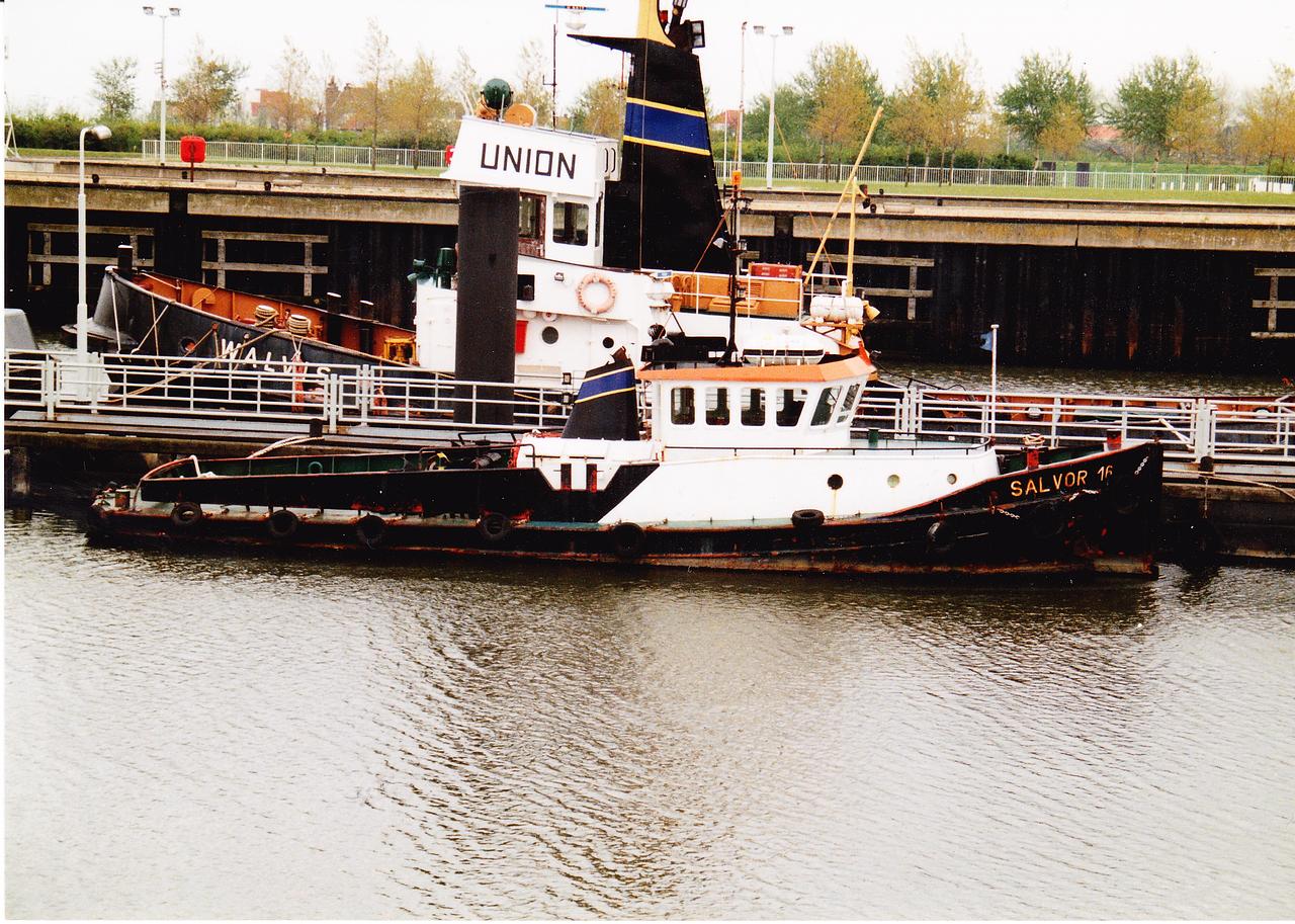 Salvor