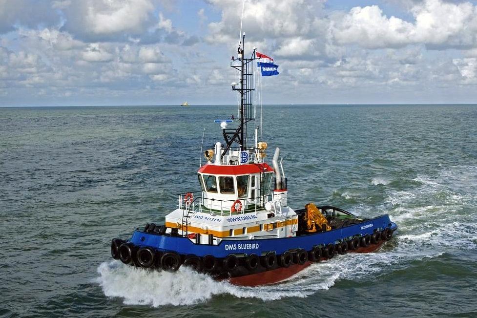 Dms Bluebird
