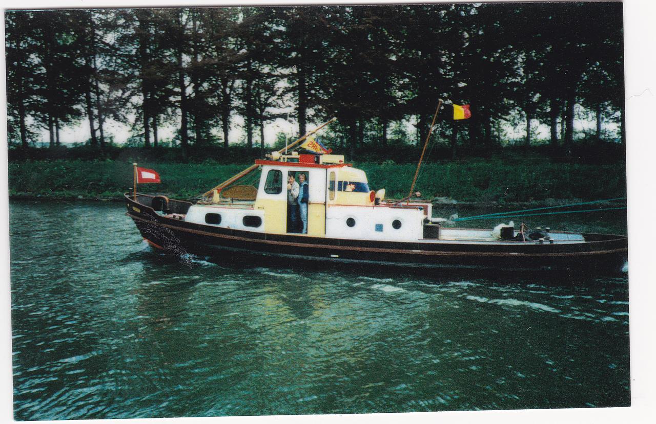Bussard