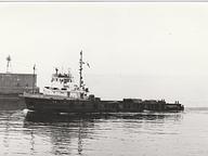 Cazador V