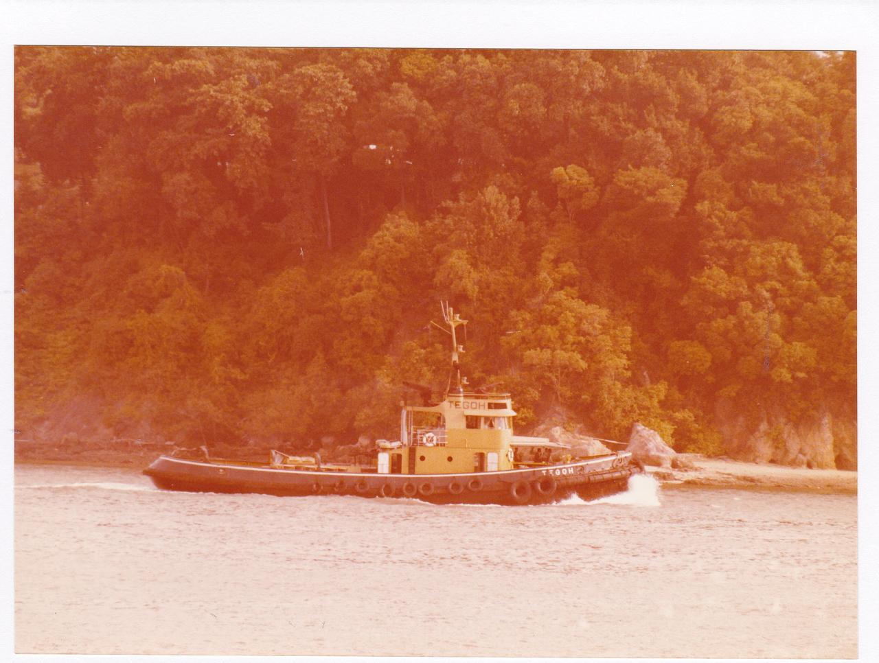 Tegoh