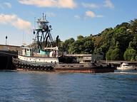 Island Venture