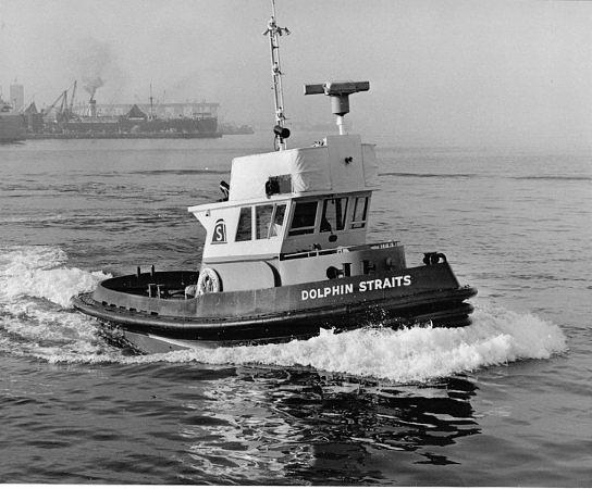 Dolphin Straits