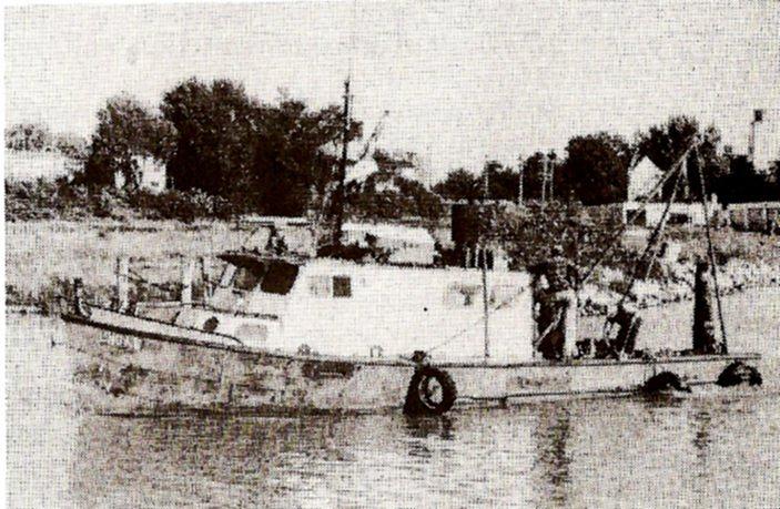 Ungas II