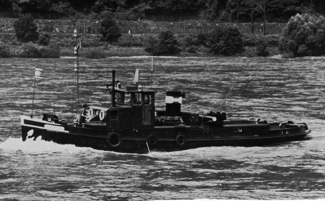 Dts 5