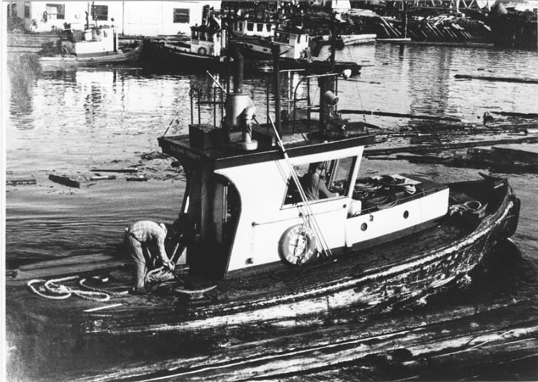 Sea Duke